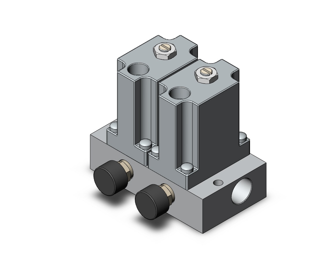 SMC ARM2000-2A2-N01G-1 regulator, mfld w/gauges, ARM MANIFOLD REGULATOR