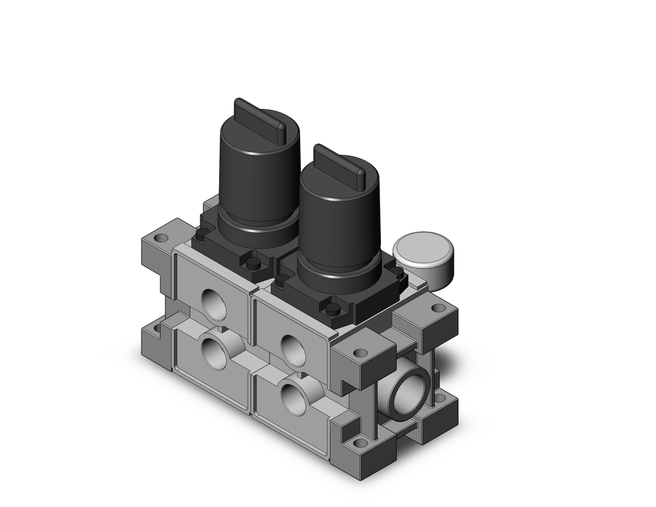 SMC ARM3000-02B-N03G2 regulator, mfld w/gauges, REGULATOR, MANIFOLD