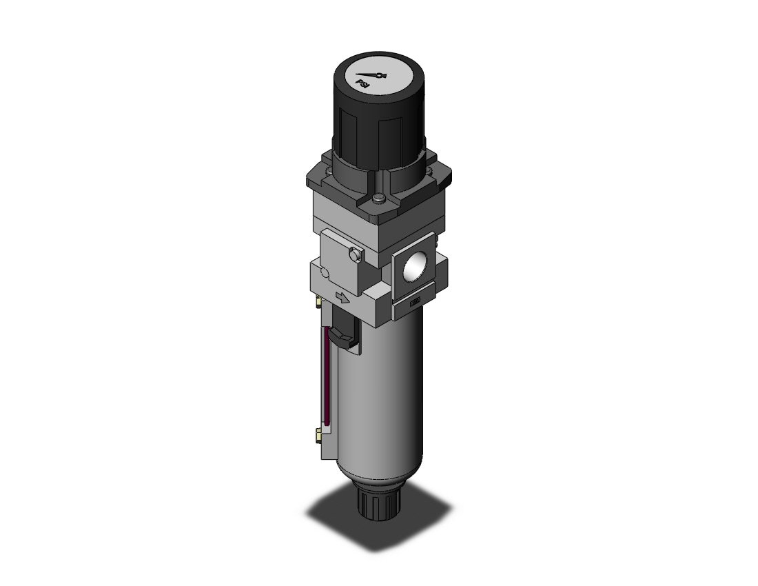 AWG30K-N03G1-8Z FILTER REG W/BACK FLOW  and  GAUGE